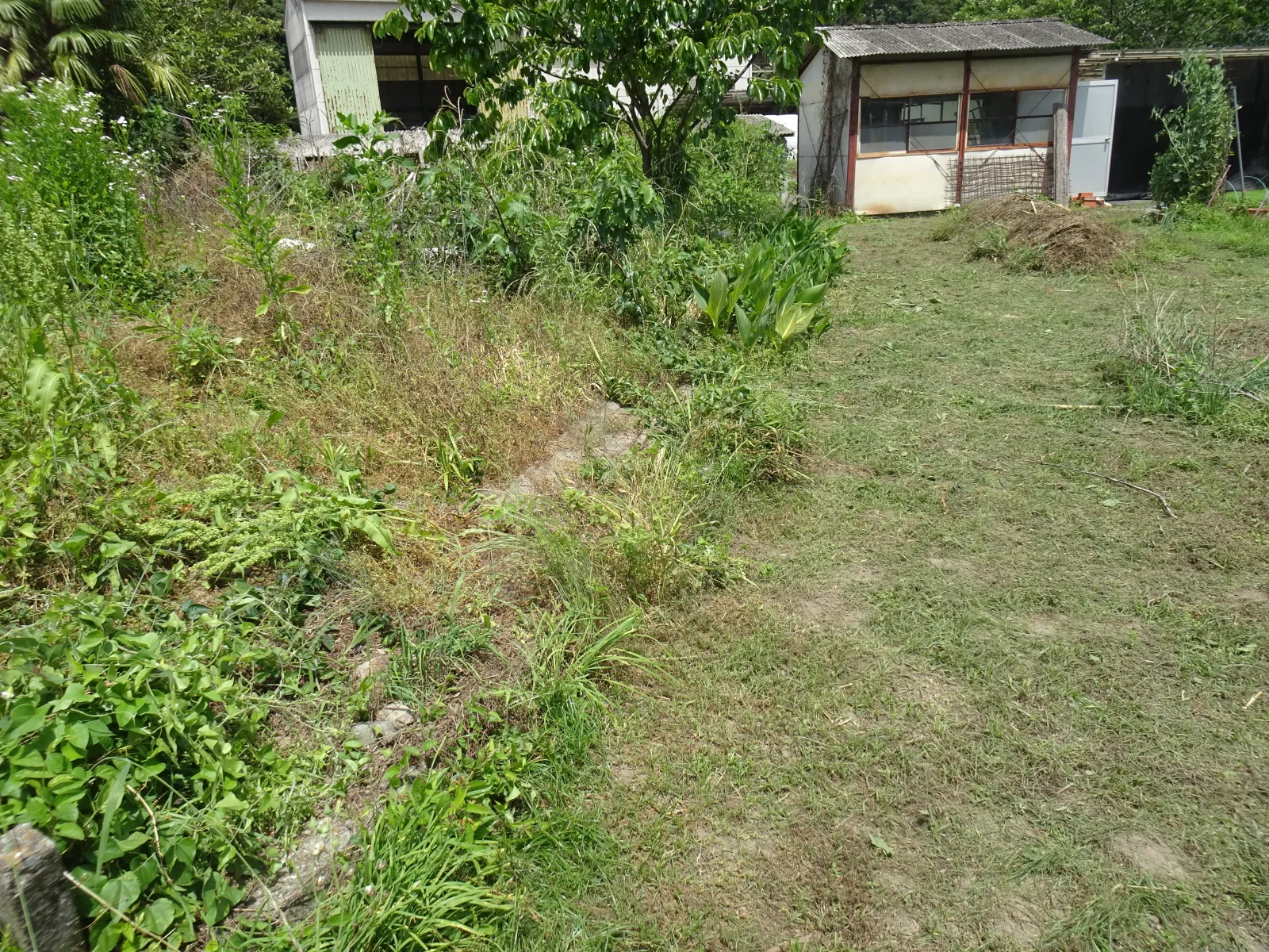 竹原市民間雑種地改善工事 施工前 1